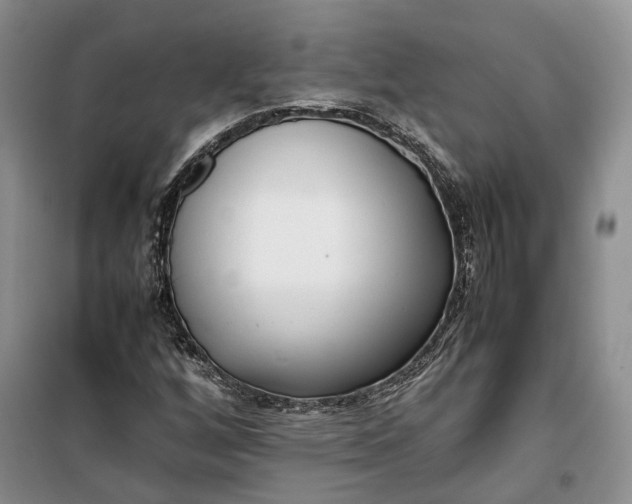 X0000100231256200806131329