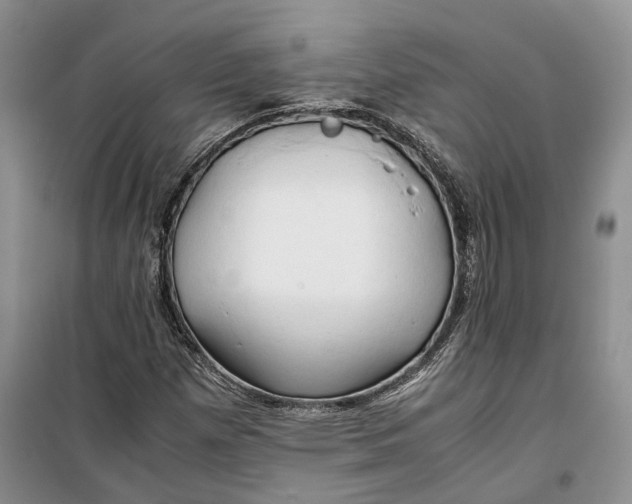 X0000100231257200806131328