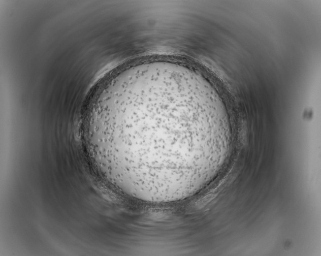 X0000100231258200806131328