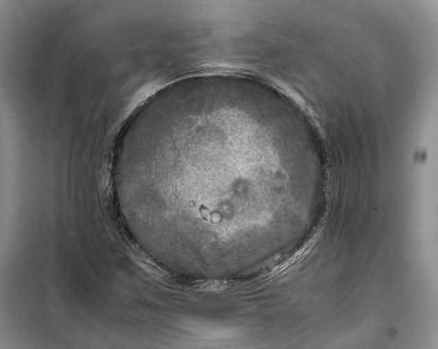 X0000100231259200806131328