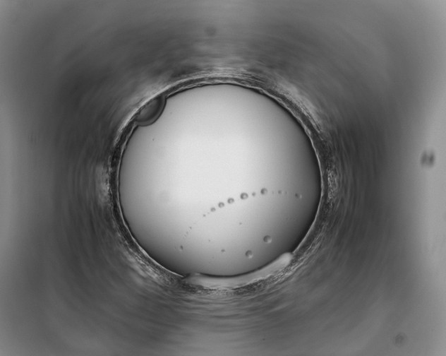 X0000100231260200806131328