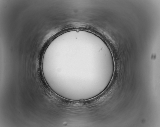 X0000100231261200806131328