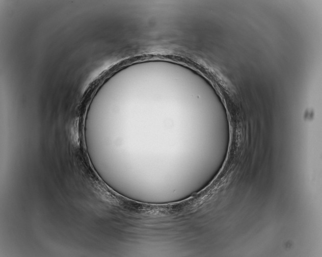 X0000100231262200806131328