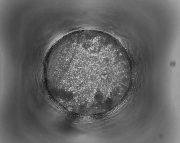 X0000100231263200806131328