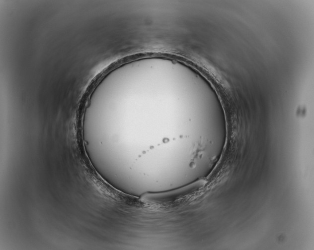 X0000100231264200806131328