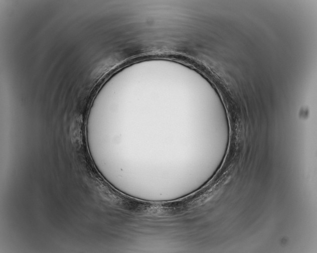 X0000100231265200806131328