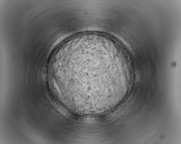 X0000100231266200806131328