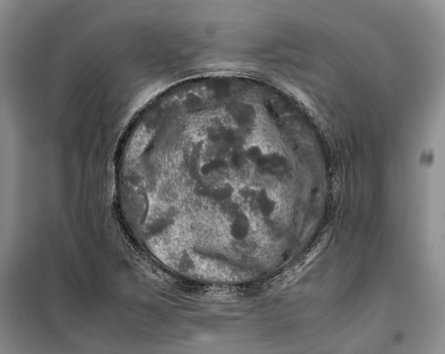 X0000100231267200806131328