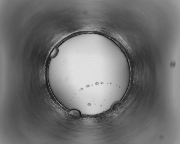 X0000100231268200806131328