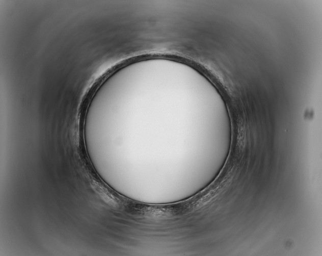 X0000100231270200806131328