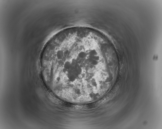 X0000100231271200806131328