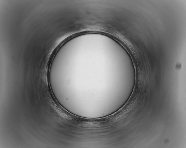 X0000100231272200806131328