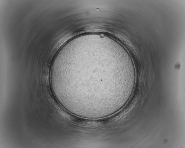 X0000100231273200806131328