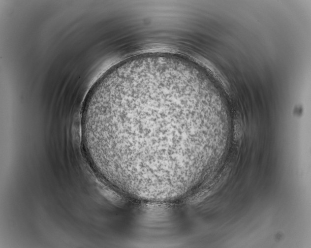 X0000100231274200806131328