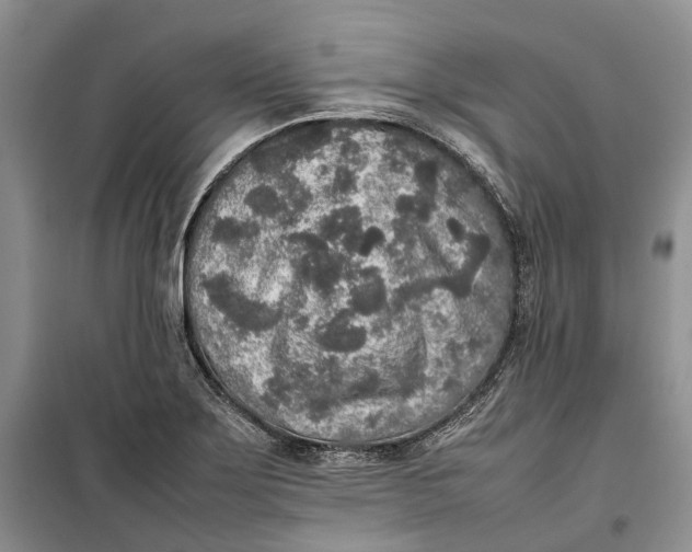 X0000100231275200806131328