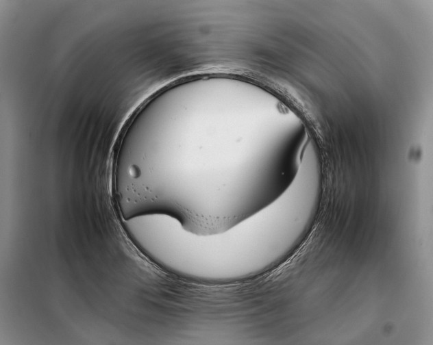 X0000100231276200806131328