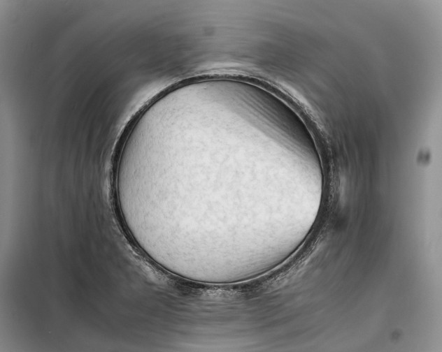 X0000100231277200806131328