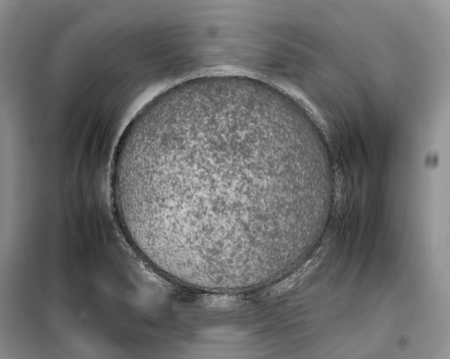 X0000100231278200806131328