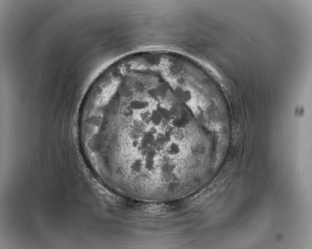 X0000100231279200806131328