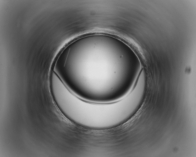 X0000100231280200806131328