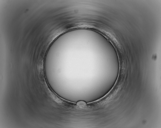 X0000100231281200806131328