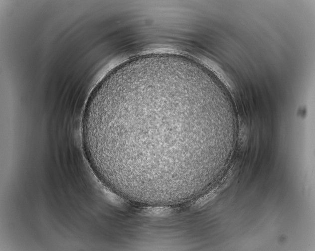 X0000100231282200806131328