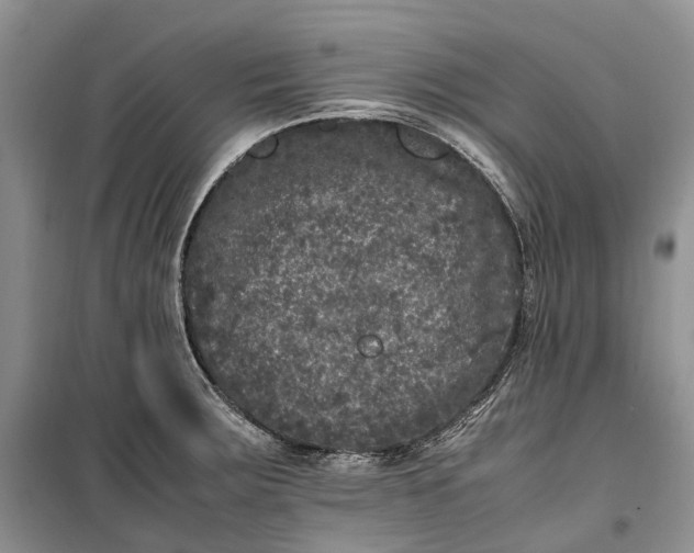 X0000100231283200806131328