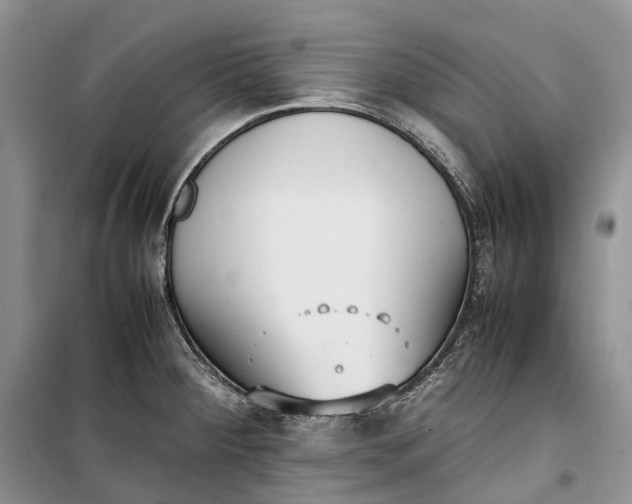 X0000100231284200806131328