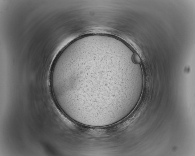 X0000100231285200806131328