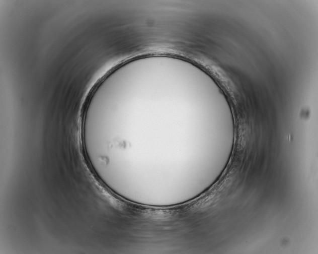 X0000100231286200806131328