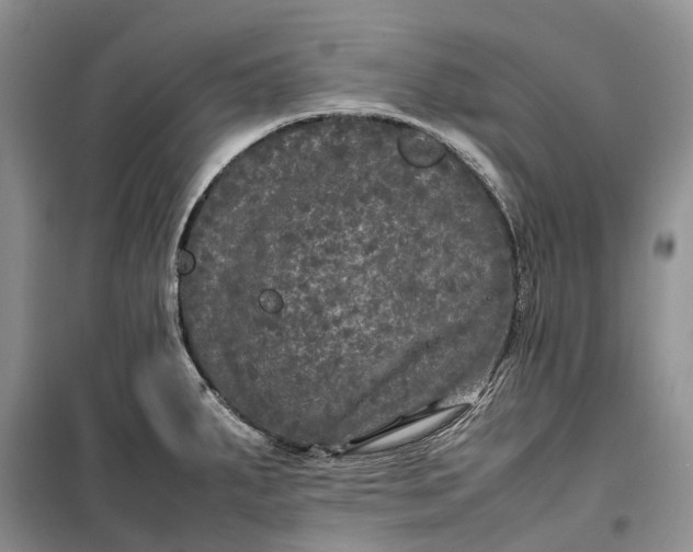 X0000100231287200806131328