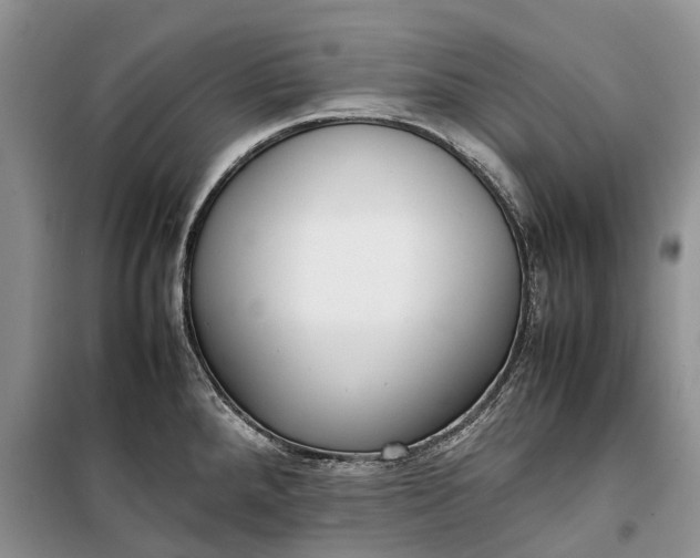 X0000100231288200806131328