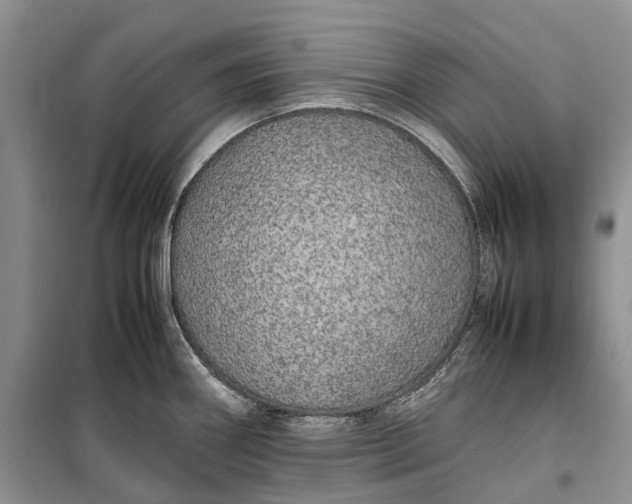 X0000100231290200806131328