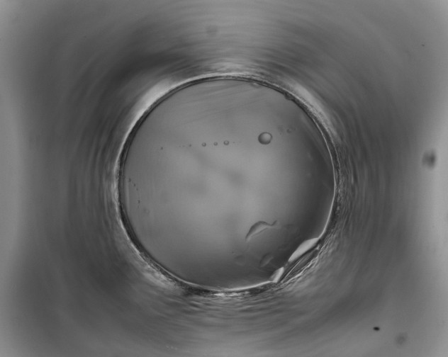 X0000100231291200806131328