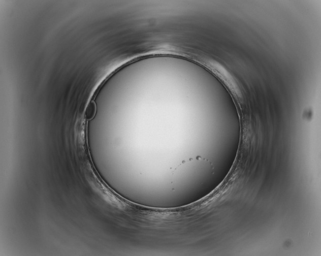 X0000100231292200806131328