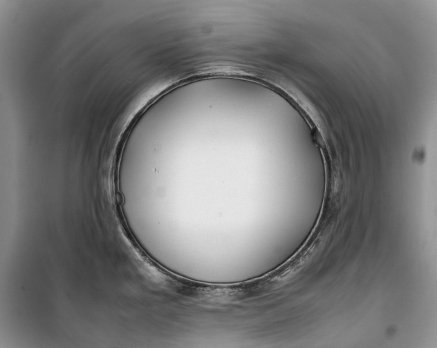 X0000100231293200806131328