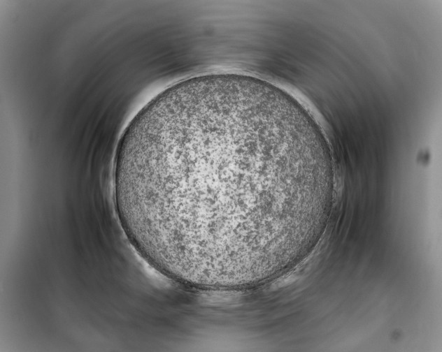 X0000100231294200806131328