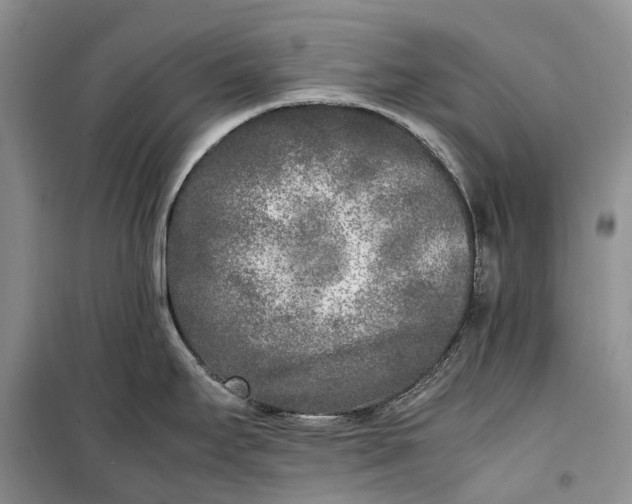 X0000100231295200806131328