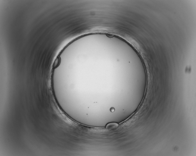 X0000100231296200806131328