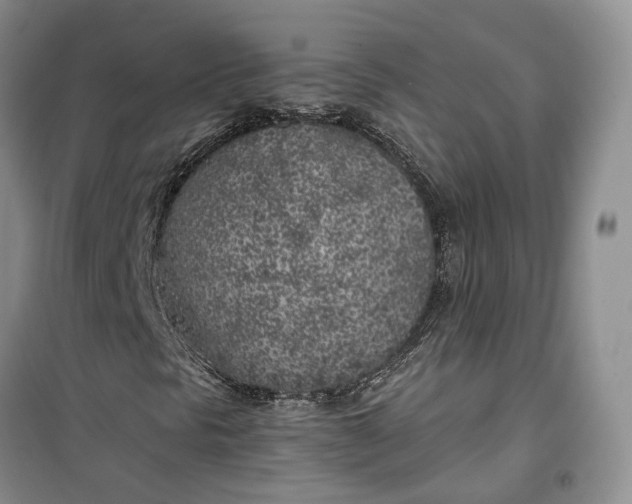 X0000100231297200806131327