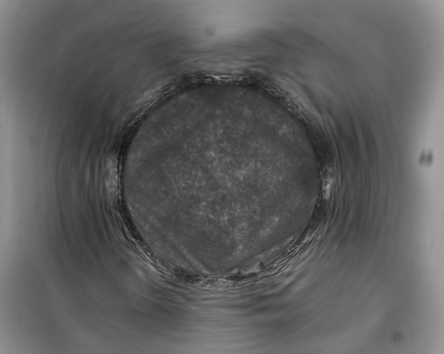 X0000100231298200806131327