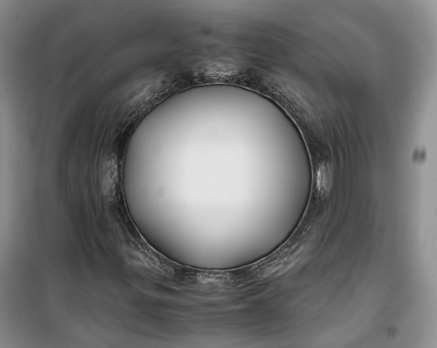 X0000100231299200806131327