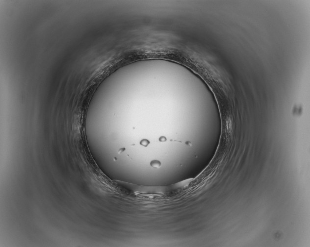 X0000100231300200806131327