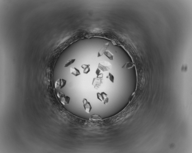 X0000100231301200806131327