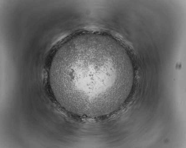 X0000100231302200806131327