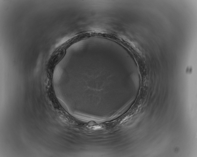 X0000100231303200806131327