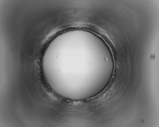 X0000100231304200806131327