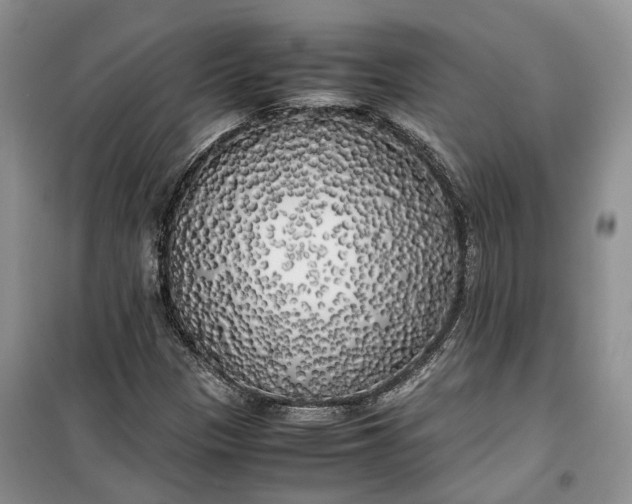 X0000100231305200806131327