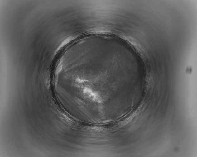 X0000100231306200806131327