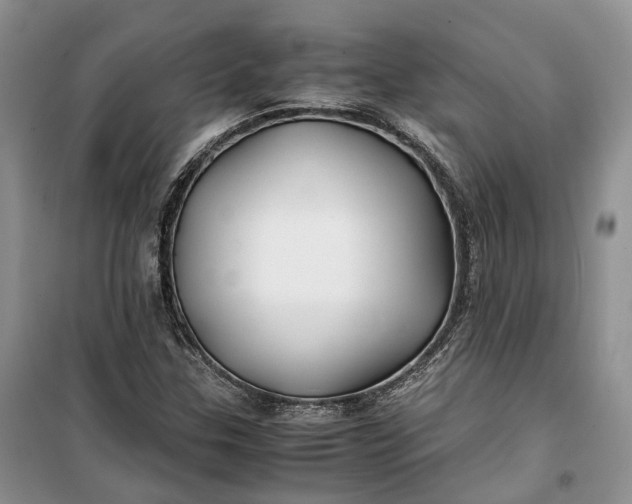 X0000100231307200806131327